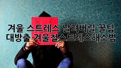겨울🥶 스트레스 날려버릴 🔥꿀팁 대방출! #겨울철스트레스해소법
